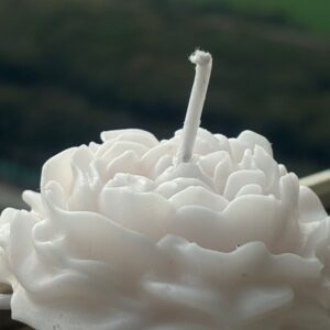 Peony Bloom Candle-Pack of 2